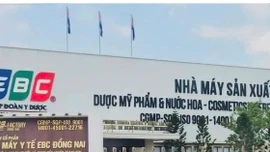 Khởi tố vụ án sản xuất, buôn bán hàng giả liên quan đến công ty chồng ca sĩ Đoàn Di Băng