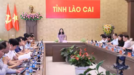 Chuẩn bị chu đáo các điều kiện để tổ chức thành công các sự kiện văn hóa, thể thao trong tháng 8 - 9/2026