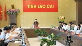 Phó Chủ tịch UBND tỉnh Vũ Thị Hiền Hạnh chủ trì họp triển khai các sự kiện, lễ hội cấp tỉnh cuối năm 2025