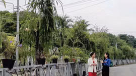 Khám phá Bình Dương qua những trang sách