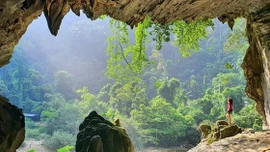 Phát hiện mới ở Di sản liên biên giới Phong Nha - Kẻ Bàng và Hin Nậm Nô