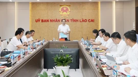 Ban Thường vụ Tỉnh ủy duyệt văn kiện Đại hội đại biểu Đảng bộ xã Mậu A và xã Bảo Thắng