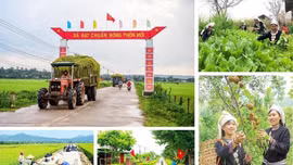 Chương trình mục tiêu quốc gia chuyển mạnh từ tư duy 'hỗ trợ' sang 'trao cơ hội phát triển'