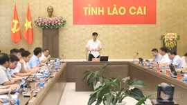 UBND tỉnh họp thống nhất phương án chuyển giao 579 dự án tại khu vực Yên Bái (cũ)