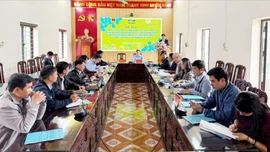 Phát triển bền vững lâm sản ngoài gỗ làm dược liệu gắn với doanh nghiệp và cộng đồng