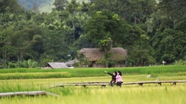 Cho phép sử dụng địa danh “Nghĩa Đô” để đăng ký bảo hộ nhãn hiệu chứng nhận “Làng du lịch cộng đồng Nghĩa Đô”