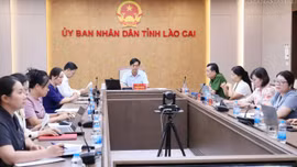 Lào Cai dự Hội nghị toàn quốc về bảo vệ trẻ em