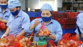 Đồng bộ chính sách an sinh trong tăng lương tối thiểu năm 2026