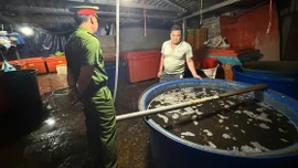 Thực phẩm bẩn và nỗi lo 'vị đắng' trên mâm cỗ Tết