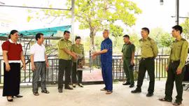 Phường Nghĩa Lộ: Bàn giao cá thể khỉ mặt đỏ quý hiếm cho cơ quan chức năng cứu hộ, tái thả