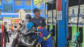 Xăng sinh học E10 có ảnh hưởng gì với động cơ ô tô, xe máy?
