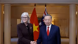 Tổng Bí thư, Chủ tịch nước Tô Lâm hội kiến Toàn quyền Australia