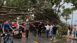 Mưa dông xảy ra tại phường Nghĩa Lộ và phường Trung Tâm khiến 1 người bị thương 