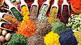 Quản lý chặt chất lượng thuốc, nguyên liệu làm thuốc