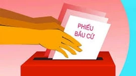 Lá phiếu - mệnh lệnh của lương tri và sức mạnh của lòng dân