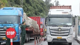 Tạm dừng áp dụng Nghị định số 46 về an toàn thực phẩm đến hết ngày 15/4/2026