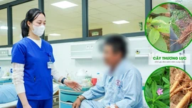 Cấp cứu sau khi ăn loại củ giống sâm đất