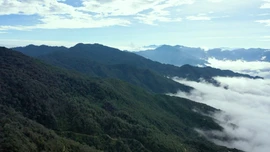 “Lá chắn xanh” nơi rừng đầu nguồn
