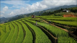 Cơ hội quảng bá du lịch Mù Cang Chải