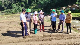 Tỉnh ủy Lào Cai chỉ đạo khẩn trương giải quyết vướng mắc, đảm bảo quyền và lợi ích chính đáng của viên chức, người lao động các đơn vị sự nghiệp công lập cấp xã