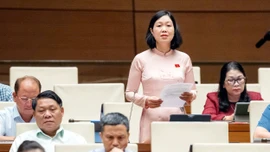 Đại biểu Nguyễn Thị Lan Anh tham gia thảo luận về Luật Nhà giáo