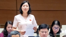 Đại biểu Nguyễn Thị Lan Anh tham gia thảo luận về dự thảo Luật Hóa chất (sửa đổi)