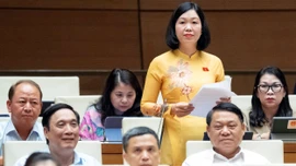 Đại biểu Nguyễn Thị Lan Anh tham gia ý kiến về việc sửa đổi, bổ sung một số điều của Hiến pháp năm 2013