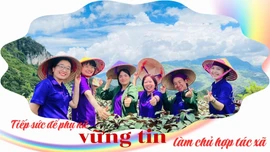 Tiếp sức để phụ nữ vững tin làm chủ hợp tác xã