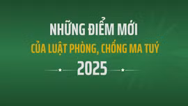 Những điểm mới của Luật Phòng, chống ma túy 2025 (sửa đổi)