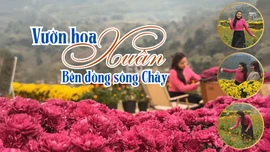 Vườn hoa xuân bên dòng sông Chảy