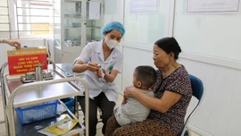 Các địa phương khẩn trương xây dựng kế hoạch và tổ chức chiến dịch tiêm vaccine phòng, chống dịch sởi