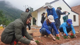 Hàng nghìn khóm hoa khoe sắc được trồng tại khu tái định cư Kho Vàng và Nậm Tông 