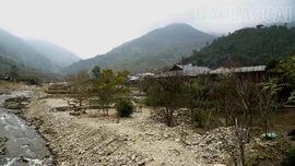 Nhịp sống hồi sinh ở Tú Lệ