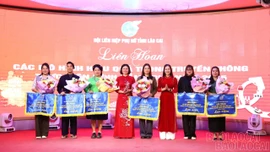 Lào Cai tổ chức thành công 4 cuộc Liên hoan các mô hình hiệu quả trong truyền thông thực hiện bình đẳng giới 