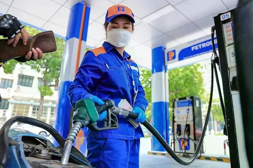 Sớm xây dựng chiến lược quốc gia về cung ứng, dự trữ nguyên liệu, nhiên liệu trong dài hạn.