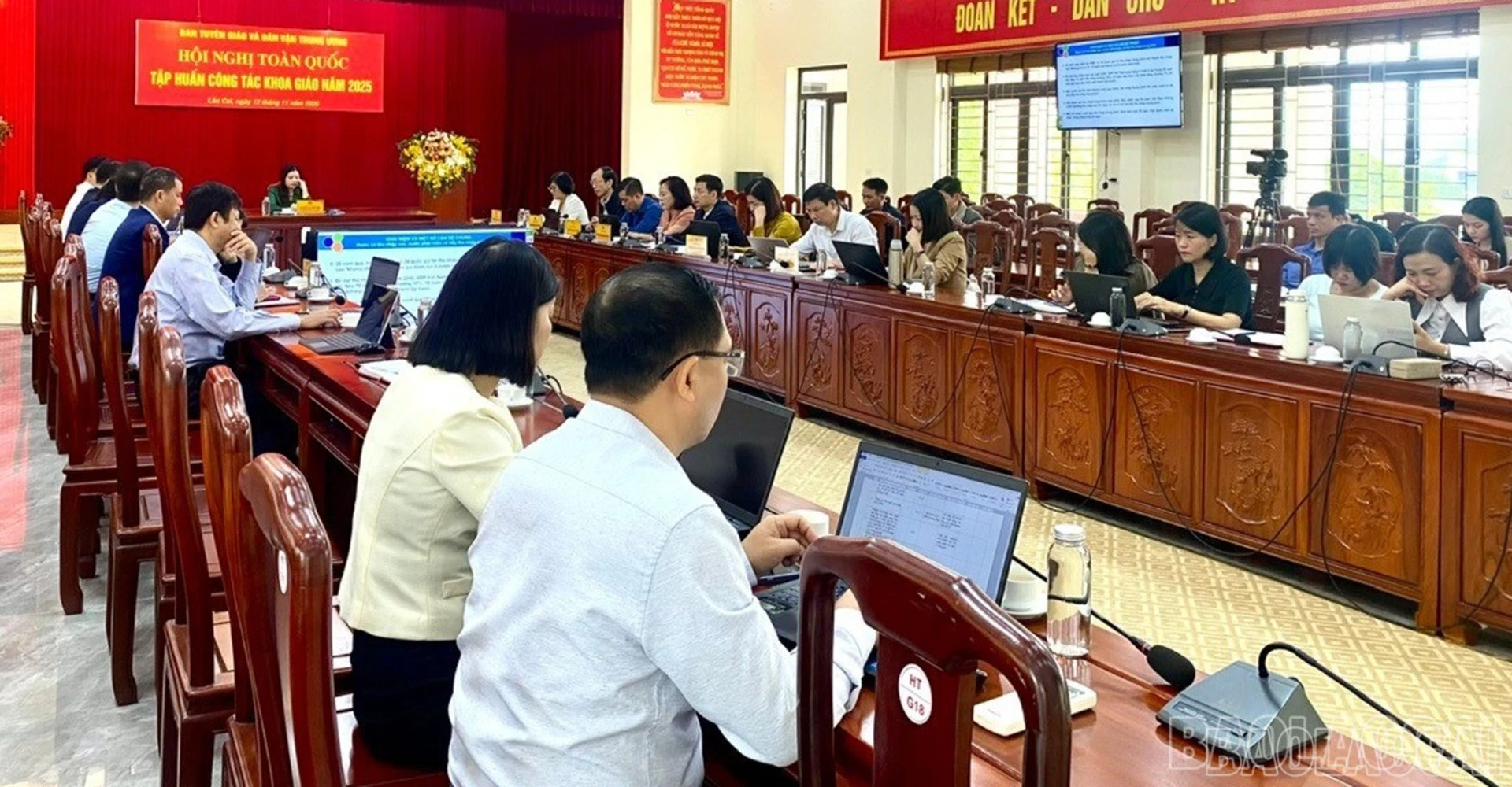 baolaocai-br_12-11-danvan2.jpg
