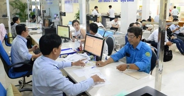 Việc xếp ngạch công chức theo vị trí việc làm đối với công chức chuyên môn, nghiệp vụ phải căn cứ bản mô tả công việc, khung năng lực của vị trí việc làm.