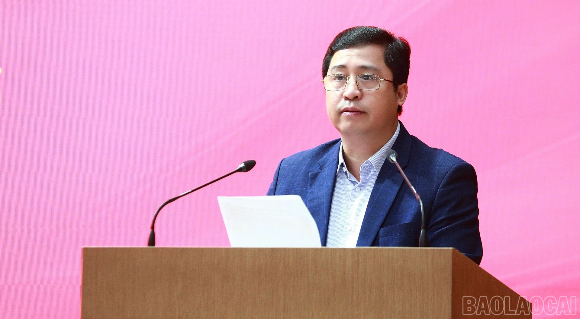 baolaocai-br_18-3-bithu.jpg