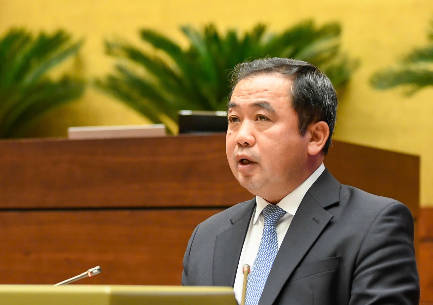 Bộ trưởng Bộ Nông nghiệp và Môi trường Trần Đức Thắng.