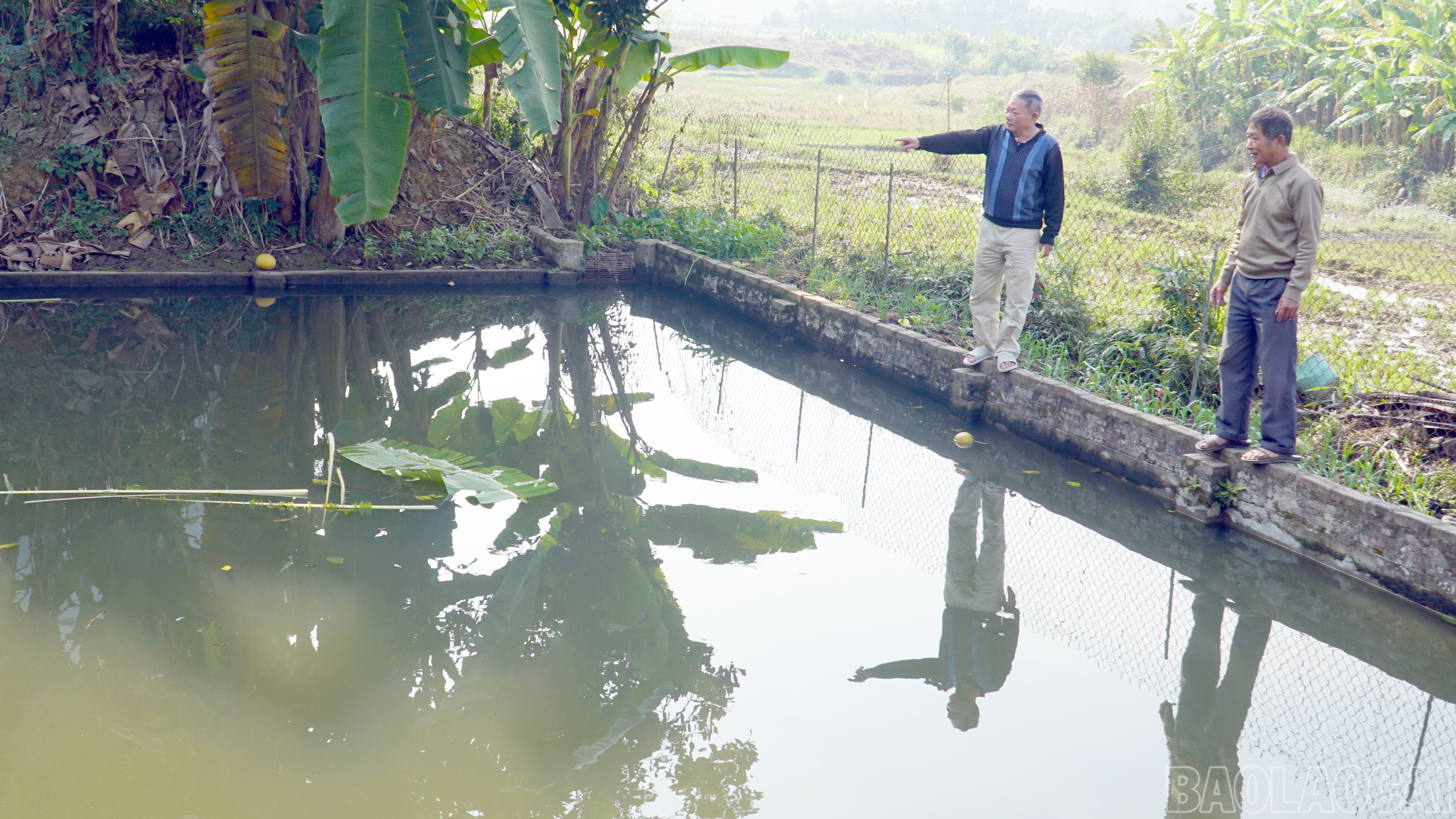 Đảng vi&ecirc;n Nguyễn Hữu Cầu (th&ocirc;n Ngũ L&acirc;m) chia sẻ kinh nghiệm nu&ocirc;i c&aacute; với đảng vi&ecirc;n trong chi bộ.
