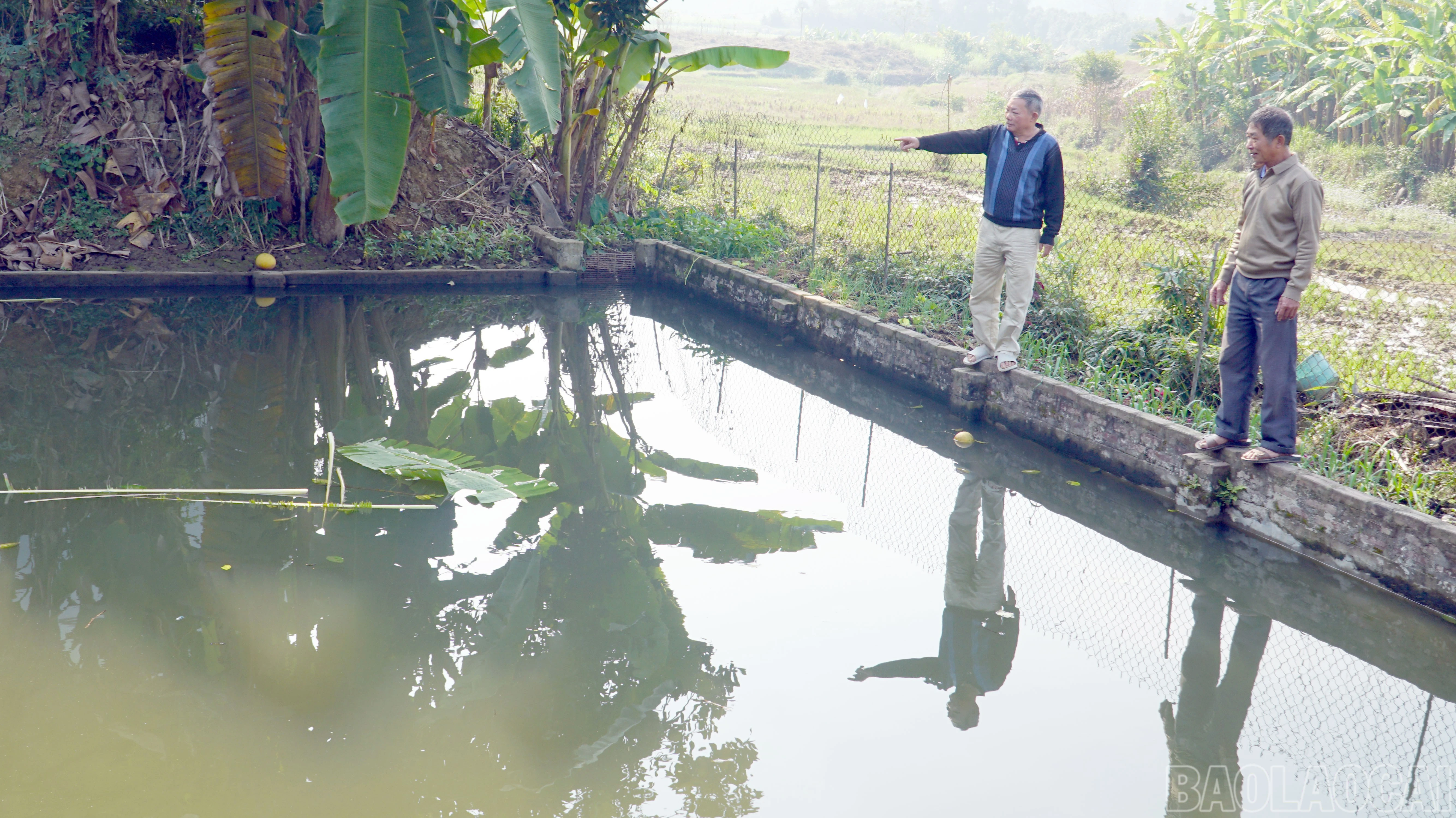 Đảng viên Nguyễn Hữu Cầu (thôn Ngũ Lâm) chia sẻ kinh nghiệm nuôi cá với đảng viên trong chi bộ.