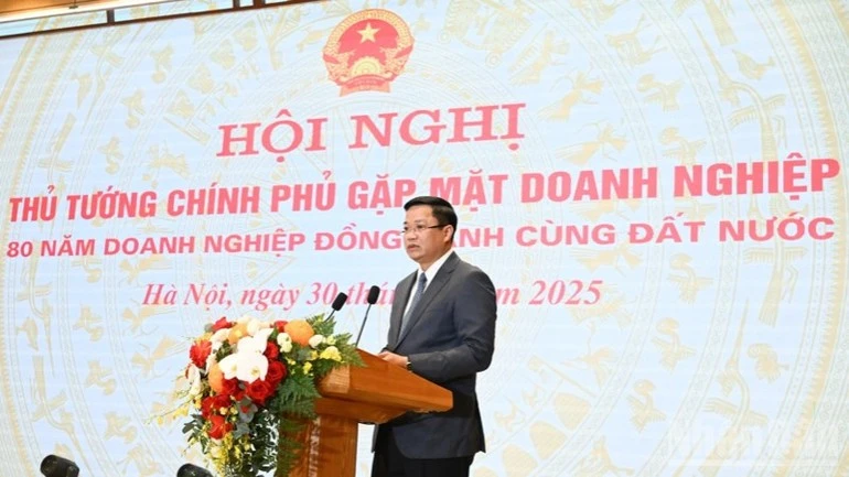 Lãnh đạo Bộ Tài chính báo cáo tại hội nghị.