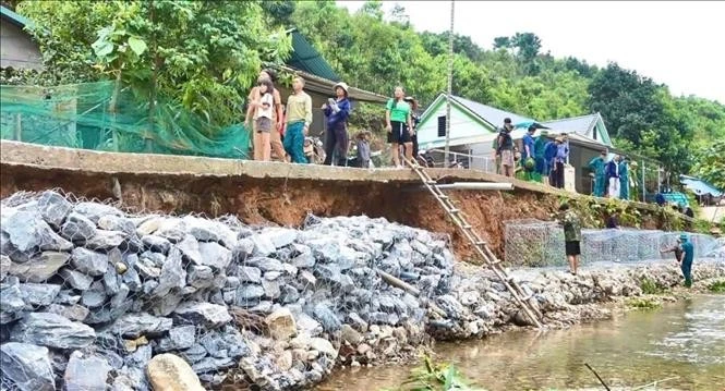 Lực lượng chức năng xã Tân Hợp đan rọ sắt gia cố kè đường giao thông nông thôn nhằm bảo đảm an toàn cho người dân. Ảnh: TTXVN phát