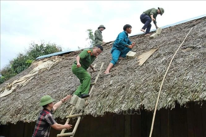 Lực lượng chức năng gia cố mái nhà cho người dân trước bão số 3. Ảnh: TTXVN phát
