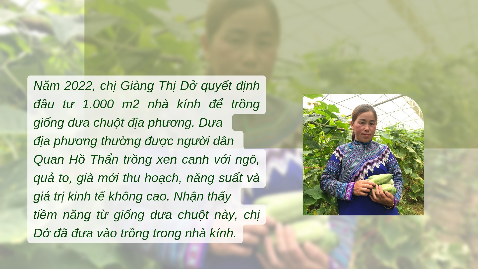 Ảnh: Vân Thảo (Báo và Phát thanh - Truyền hình Lào Cai) 15-9-chi-do.jpg