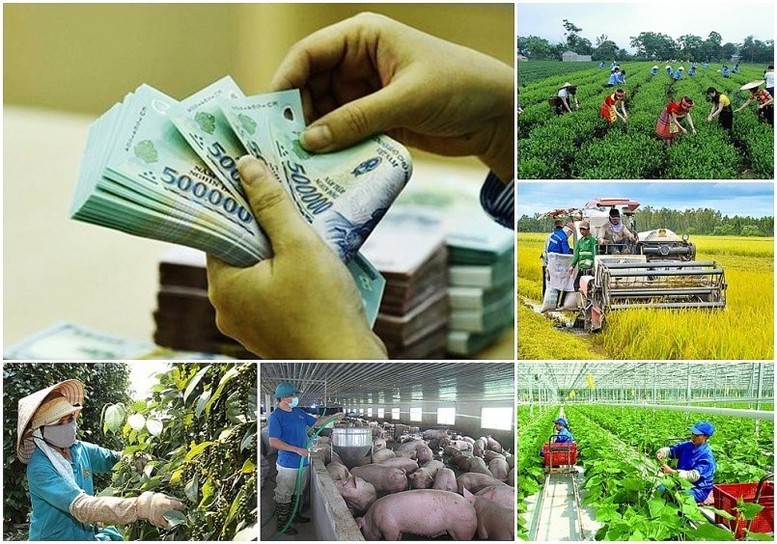 Tháo gỡ khó khăn, vướng mắc khi thực hiện các chương trình mục tiêu quốc gia trong bối cảnh triển khai mô hình chính quyền địa phương 2 cấp. Tháo gỡ khó khăn, vướng mắc khi thực hiện các chương trình mục tiêu quốc gia trong bối cảnh triển khai mô hình chính quyền địa phương 2 cấp.