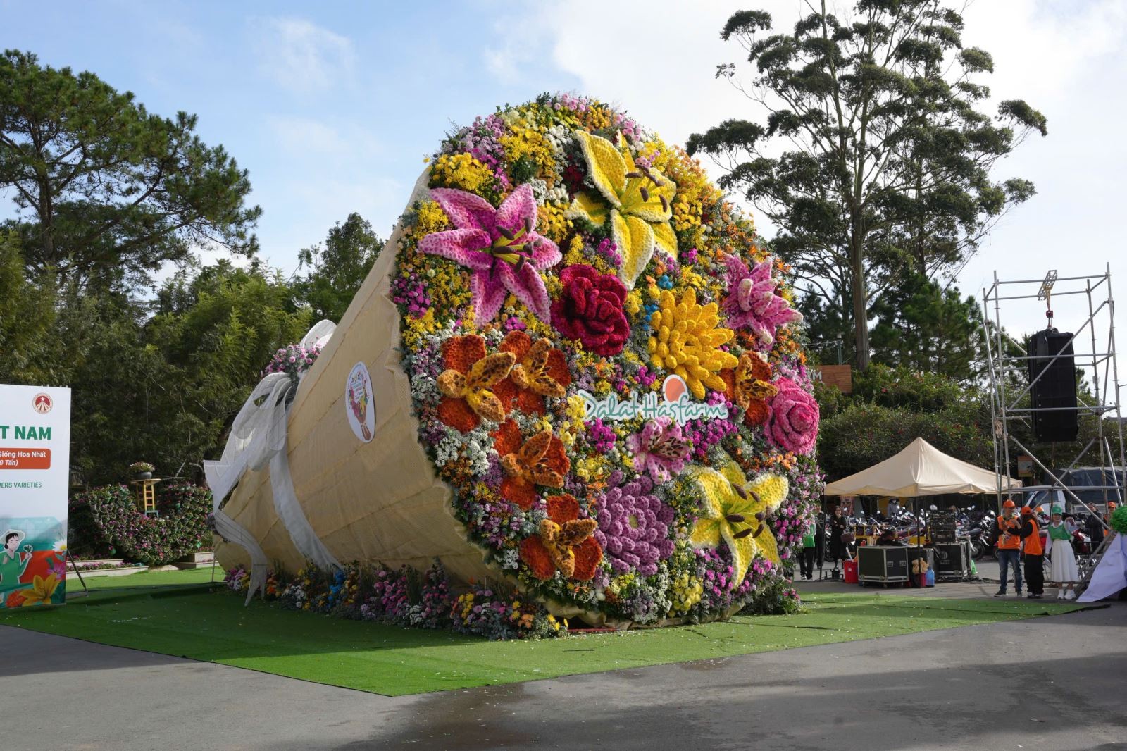 Bó hoa được trưng bày ngay tại công viên để người dân và du khách cùng chiêm ngưỡng khi đến Đà Lạt dịp này.