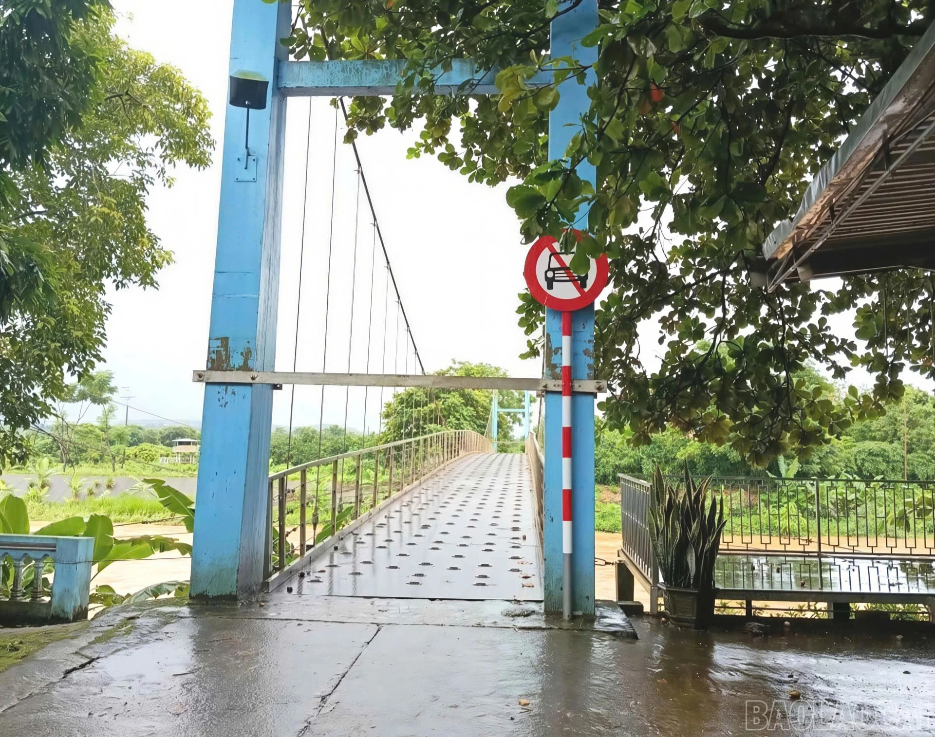 Biển báo cấm xe ô tô và phương tiện có tổng trọng tải trên 0,5 tấn lưu thông qua cầu treo Ta Tiu để bảo đảm an toàn.