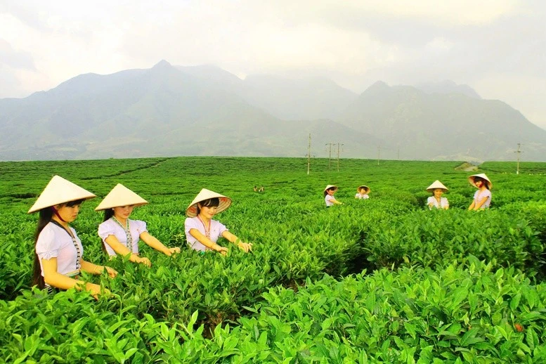 Tôn vinh giá trị nông sản vùng cao, quảng bá sản phẩm đặc trưng, đồng thời thúc đẩy kết nối giao thương, mở rộng thị trường tiêu thụ bền vững cho khu vực miền núi phía Bắc.