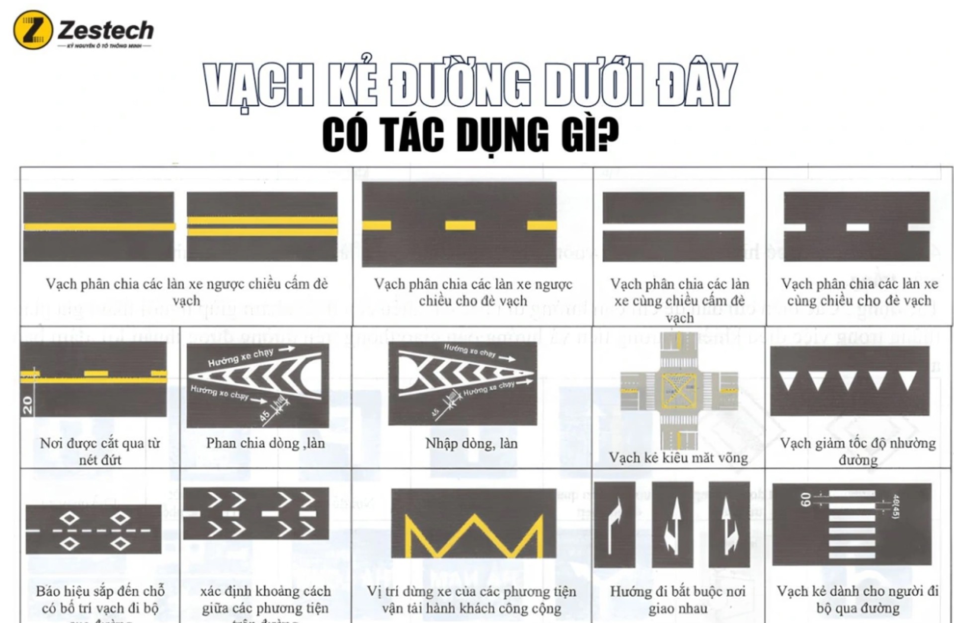 11-10-vachduong2.jpg